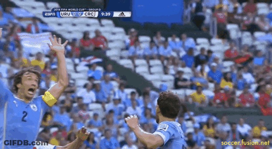 Costa Rica Football Game GIF