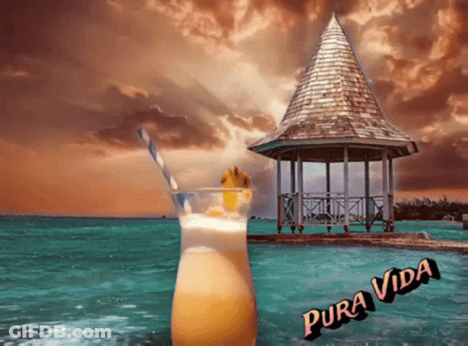 Costa Rica Pura Vida GIF