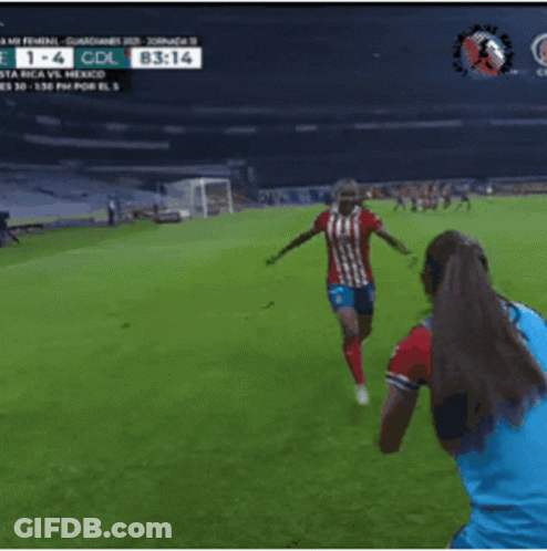 Costa Rica Vs Mexico Soccer Match 1-4 GIF