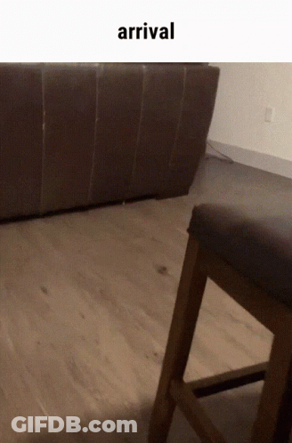 Couch And Chair With Arrival GIF