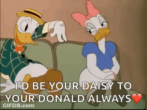 Couch Donald Duck GIF