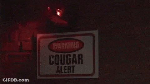 Cougar Alert Warning Sign On Brick Wall GIF