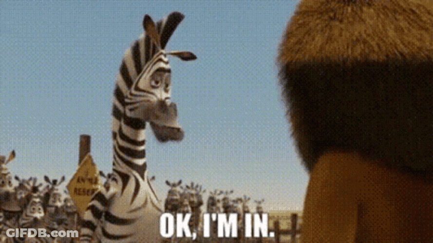 Count Me In Marty In Madagascar GIF