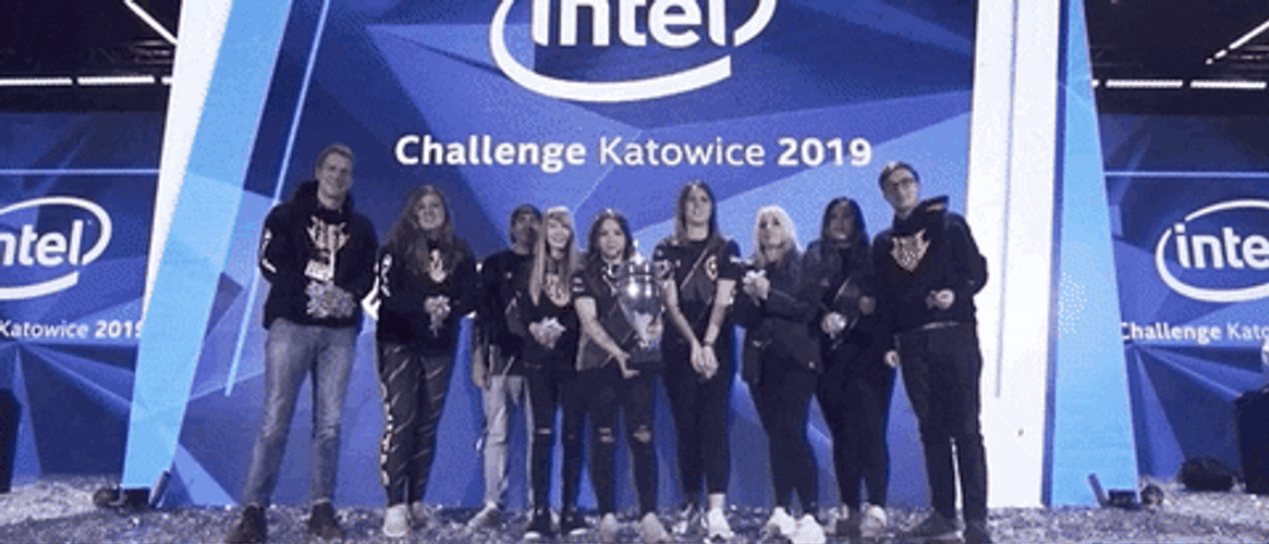 Counter Strike Global Offensive Champions Katowice 2019 GIF