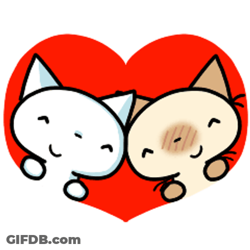 Couple Cats Inside Heart Amor GIF