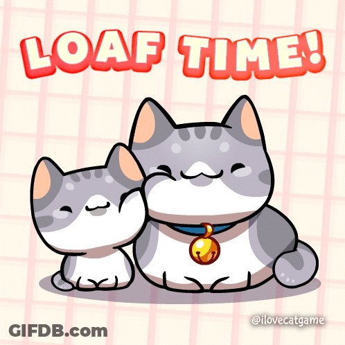 Couple Cats Sitting Together Loaf Time GIF