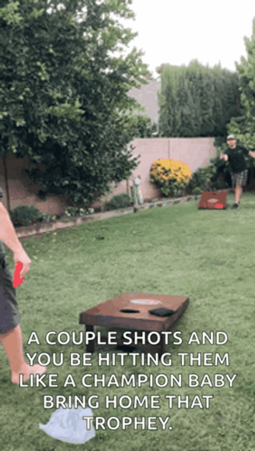 Couple Cornhole Shots Hitting Them Like Champions GIF