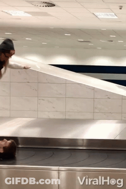 Couple Exhibition Inside Airport Conveyor Belt GIF