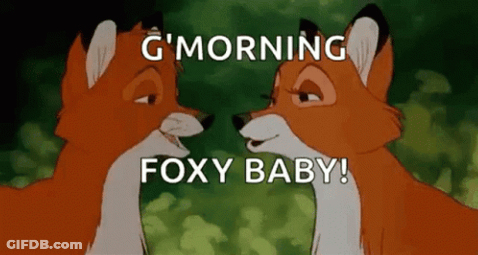 Couple Foxy Baby GIF