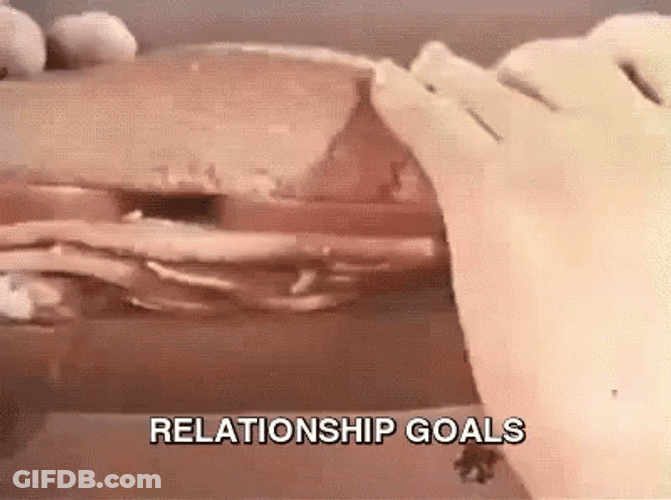 Couple Goals Eating Big Sandwich GIF