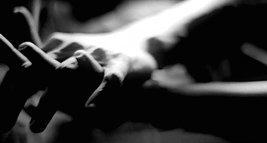 Couple Hold Hands Monochrome GIF