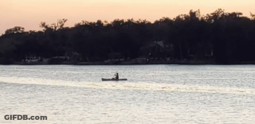 Couple In Kayak With Orange Paddles GIF