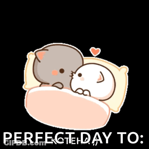 Couple Of Cats Laying In Bed Perfect Day To GIF
