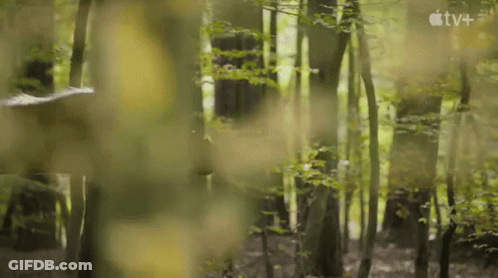 Couple Of Dinosaurs Standing In Snow In Forest GIF