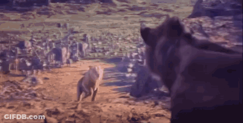 Couple Of Horses On A Dirt Hill GIF