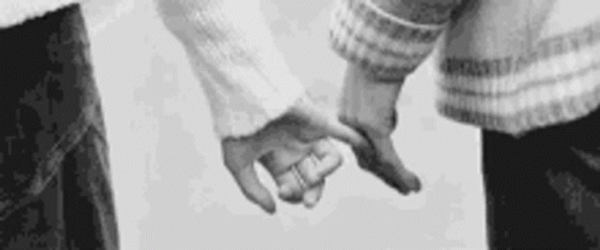Couple Pink Hold Hand GIF