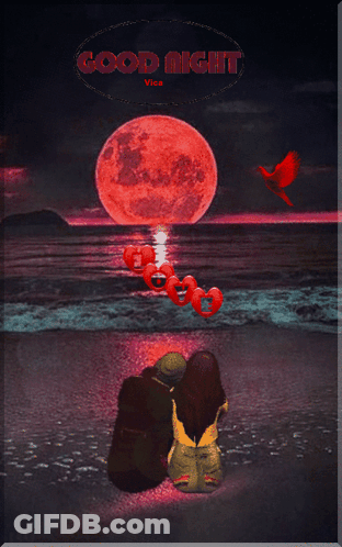 Couple Sitting On Beach At Full Moon GIF