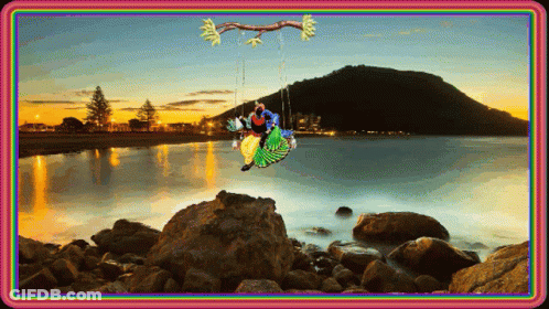 Couple Sitting On Swing Over Water GIF