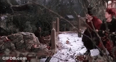 Couple Standing In Forest GIF