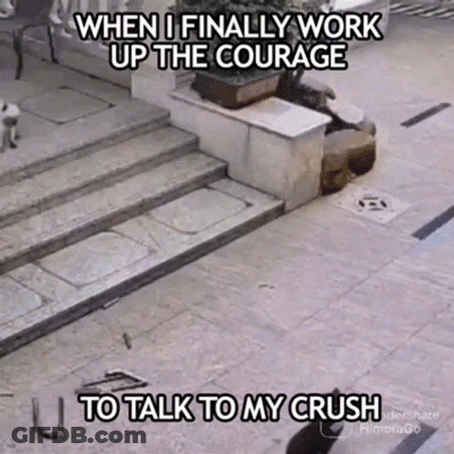 Courageous On Monday Meme GIF
