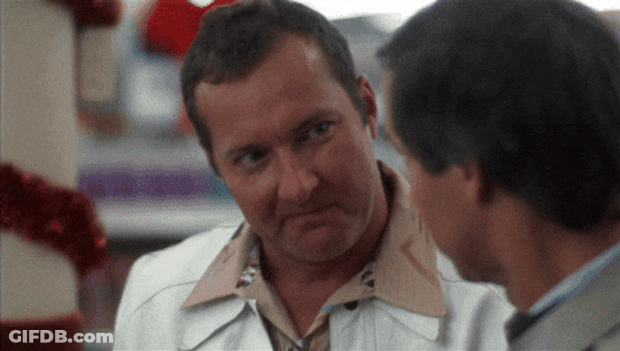 Cousin Eddie Rv Okay, Really Nice GIF