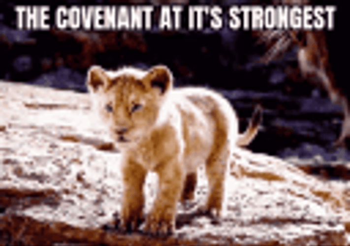 Covenant At Its Strongest Lion Roar GIF