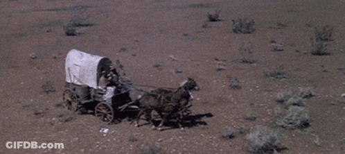 Covered Wagon Pulled By Donkey In Desert GIF