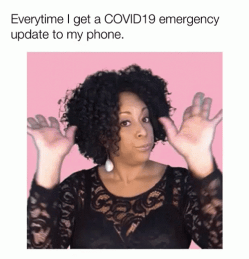 Covid 19 Emergency Update Meme GIF