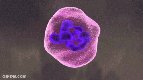 Covid Coronavirus GIF