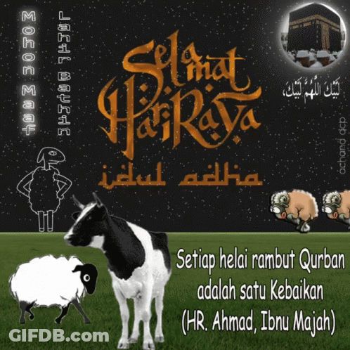 Cow And Sheep Setiap Helai Rambut Qurban GIF