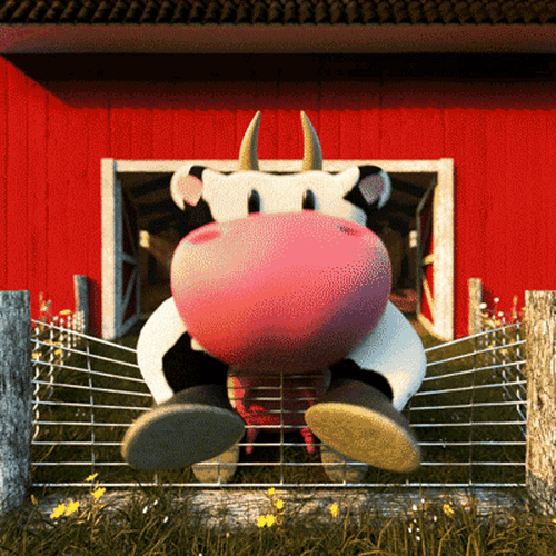 Cow Happy Clapping GIF