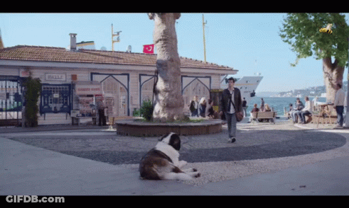 Cow Hat Character Holding Bottle Saying Mil GIF