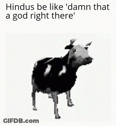 Cow Hindus Be Like Damn That A God GIF