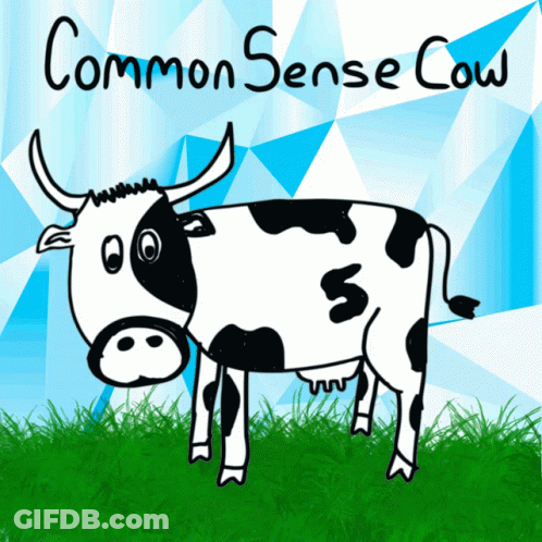 Cow In Car Back Seat Saying Ily Virtual GIF
