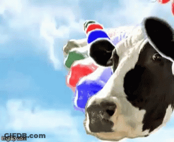 Cow In Top Hat With Balloons And Imgflip.com GIF