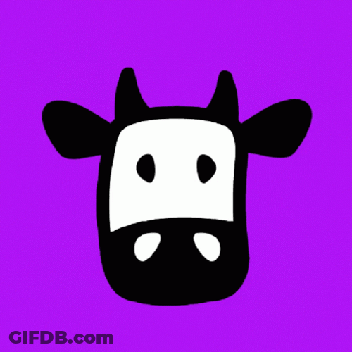 Cow On Colors GIF
