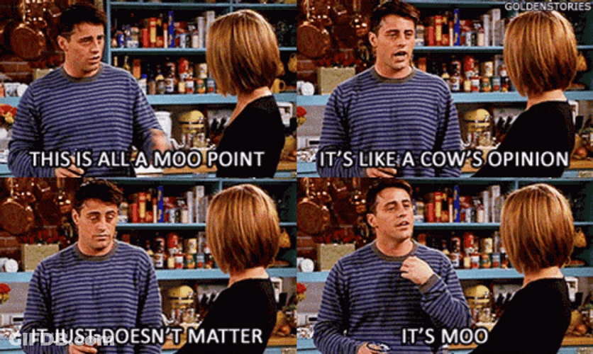 Cow's Opinion Joey GIF