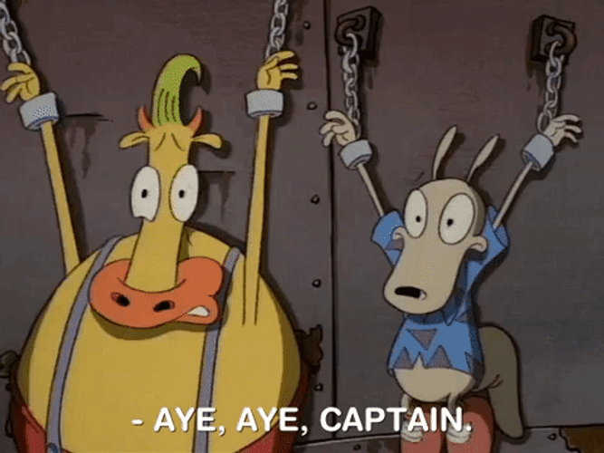 Cow Saying Aye Aye Captain GIF