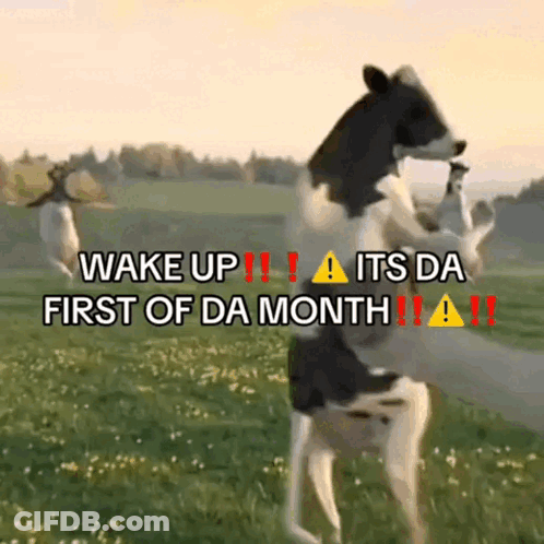 Cow Standing On Hind Legs Wake Up GIF