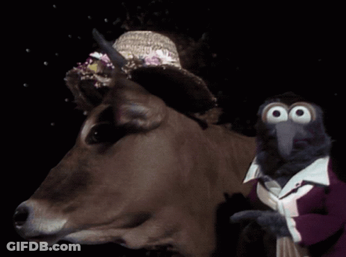 Cow Wearing Straw Hat Next To Bird GIF