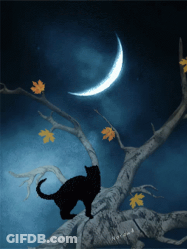 Cow With Black Spots And Sheep Standing In Grass GIF