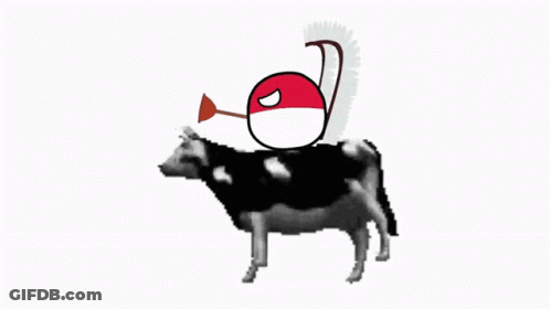 Cow With Red And White Ball On Back GIF