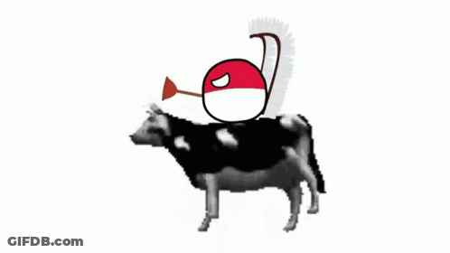Cow With Red And White Ball On Head GIF
