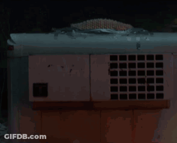 Cow With Red Lips Blowing Kiss GIF