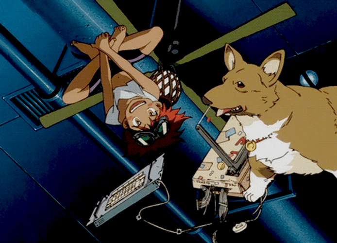 Cowboy Bebop Edward Ein Floating GIF