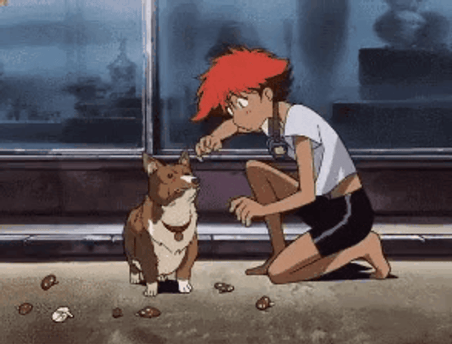 Cowboy Bebop Ein Crackhead GIF