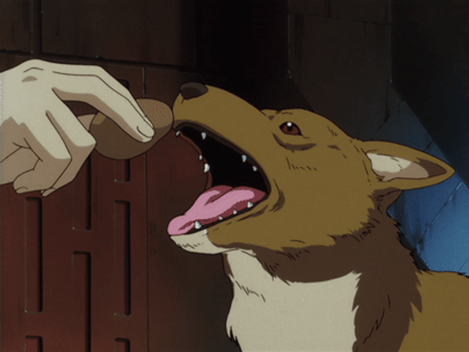 Cowboy Bebop Ein Eating GIF