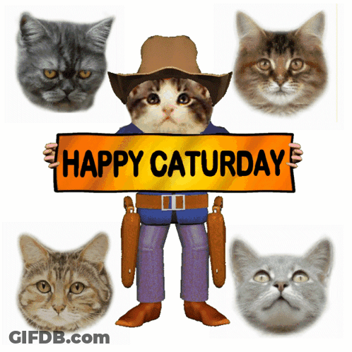 Cowboy Cat Holding Happy Caturday Sign GIF