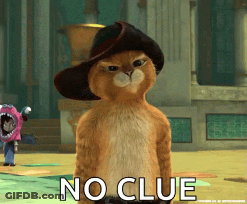 Cowboy Cat Saying No Clue GIF