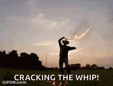 Cowboy Cracking Whip In Field At Sunset GIF
